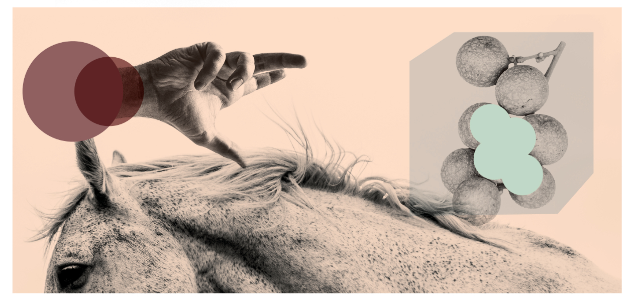 © Unsplash ; illustration : © William L. pour PM