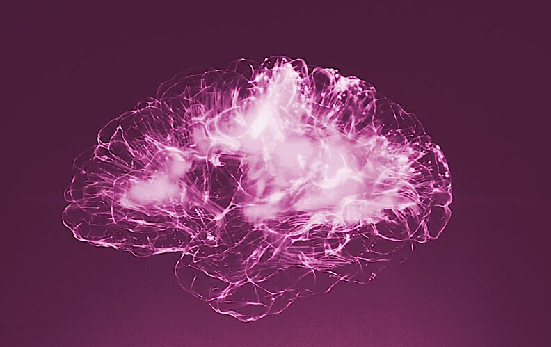 “Brain rot” : le nouveau mal de nos “cerveaux pourris” par les écrans ?