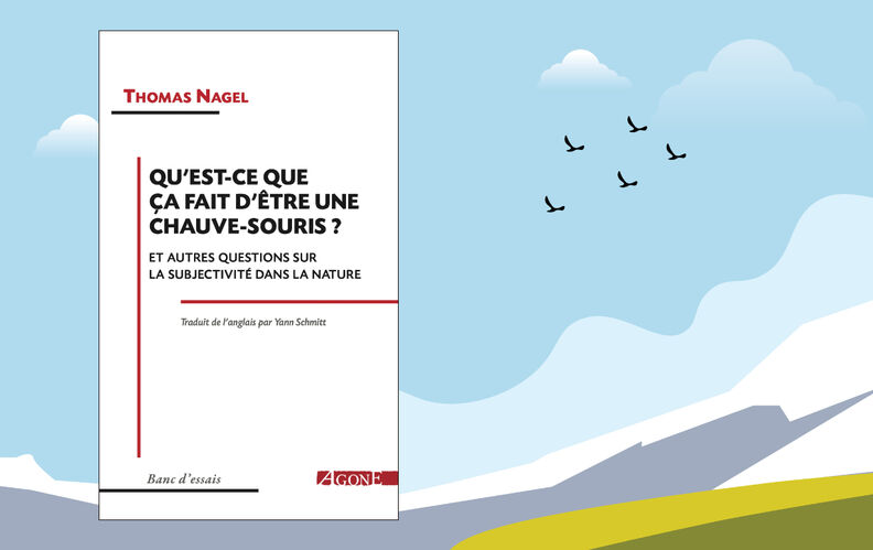 “Qu’est-ce que ça fait d’être une chauve-souris ?”, de Thomas Nagel : l’impossible échange de points de vue
