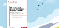 “Qu’est-ce que ça fait d’être une chauve-souris ?”, de Thomas Nagel : l’impossible échange de points de vue