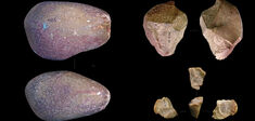 Des outils vieux de 3 millions d’années : ce que signifie cette découverte