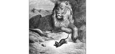 “Le Lion et le Rat” : une fable cosmique