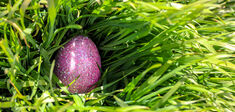 À quoi sert la chasse aux œufs ?