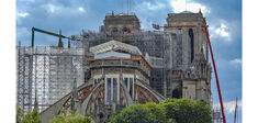 Couper des chênes centenaires pour reconstruire Notre-Dame ?