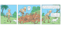 Comment décoloniser “Tintin au Congo” ?