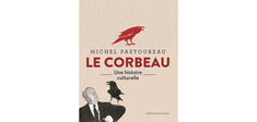 Non, le corbeau n’est pas un oiseau de malheur !