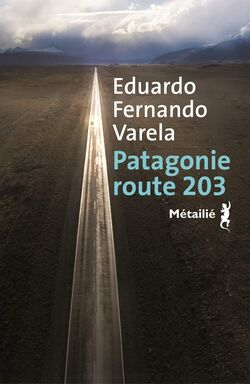 Patagonie route 203