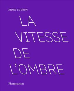 La Vitesse de l’ombre 