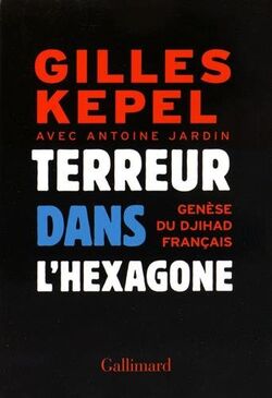 Terreur dans l'Hexagone. Genèse du djihad français