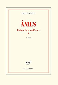 Âmes. Histoire de la souffrance, I