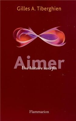 Aimer : Une histoire sans fin