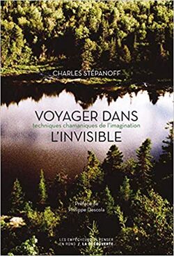 Voyager dans l’invisible. Techniques chamaniques de l’imagination