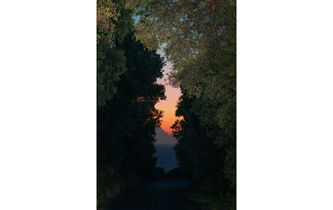 L’étrange gravité du sexe