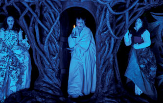 “George Dandin ou le Mari confondu” : Dandin de la farce