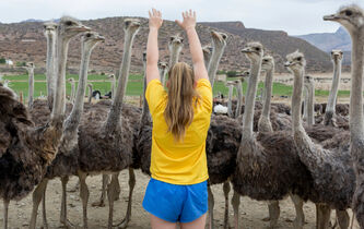 Susan Wolf : “S’engager passionnément dans une activité ne suffit pas, il faut que ça en vaille le coup”