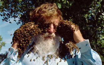 La vie a-t-elle vraiment une valeur ? L'essai libre de Francis Wolff