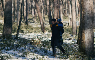 “Le mal n’existe pas” : humains par nature