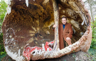 Miquel Barceló : l’eau, la grotte  et les rêves