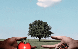 Au sommet des multinationales