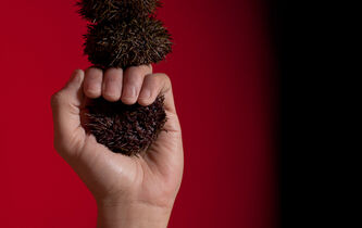 Aïe ! ce que nous apprend la douleur  