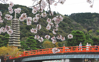 La politesse  de la forme  d’Uji à Ōtsu