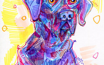 Pourquoi changer le statut juridique de l’animal ?