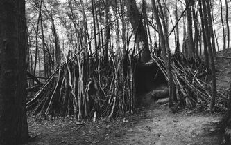 La hutte primitive enfin découverte ?