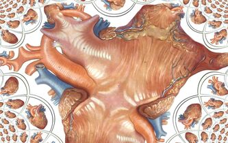 Le cœur n’est plus le centre de l’être