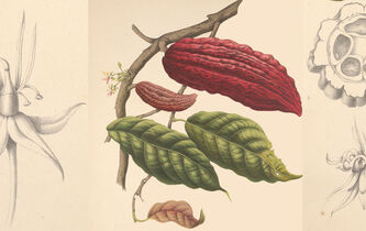 Comment les plantes se sont mondialisées