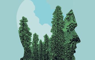 Pourquoi nous promenons-nous dans les bois ?