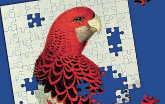 Pourquoi aimons-nous faire des puzzles ?