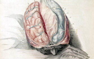 Fabrique-moi un cerveau