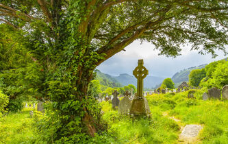 Quand l’Irlande fait entrer la nature dans la constitution. Entretien avec Michael Cronin, spécialiste de la culture irlandaise