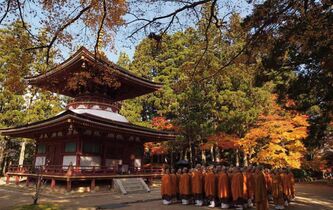 Voyage dans les montagnes sacrées du Japon