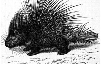 L’enfer, c’est les autres ?