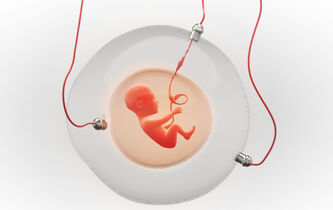 Henri Atlan : “Beaucoup des conséquences de l’utérus artificiel sont déjà réalisées aujourd’hui”