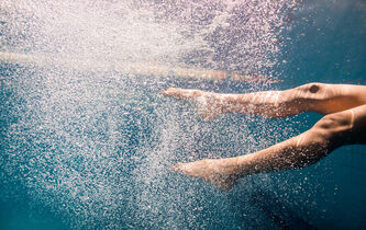 Comme des poissons dans l’eau ?