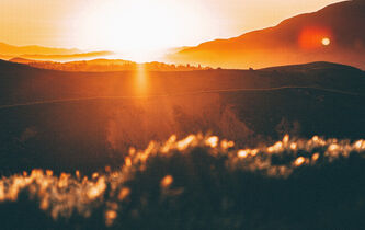 Comment supporter la chaleur avec Céline et Camus
