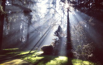 La nature vierge, nourricière ou meurtrière ?