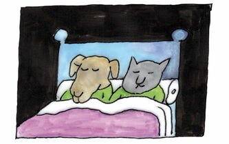 “Je voudrais savoir pourquoi les chiens chassent les chats, alors qu’ils ne les mangent pas”