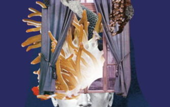 Pourquoi avons-nous du mal à regarder dans les yeux ?