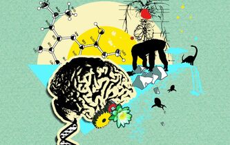 Denis Diderot, artisan de l’universel