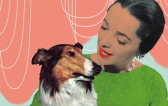 Pourquoi parlons-nous aux animaux ?