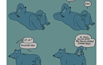 Pour une phénoménologie du coït ordinaire