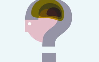 Test. Et vous, quelle est votre IP (intelligence philosophique) ?