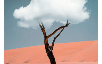 Marcher avec les philosophes