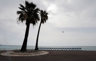 Hartmut Rosa : “Nous sommes prêts à ralentir pour récupérer la maîtrise du cours des événements”
