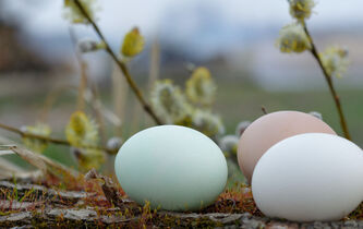 Quel est le sens de Pâques ?