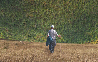 Thérapie de choc ou médecine douce ?