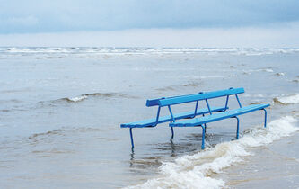 Cynthia Fleury : “Le milieu régénère les fonctions vitales de l’humain”